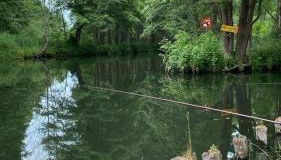 Ferienwohnung Verena Wunderlich - Foto 5