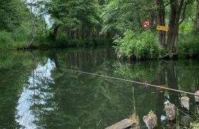 Ferienwohnung Verena Wunderlich - Foto 5