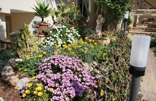 Appartamenti Baia Azzurra - Foto 66