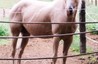 Serendipity - Foto 10