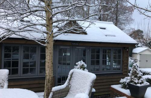 Truffle Lodge - Foto 2