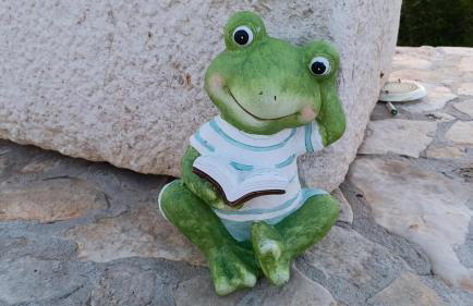 Vila Matteo - Foto 11