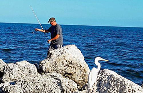 SEA MIST - Oceanfront-Lake-Kayak-Paddleboard-Bike - Foto 56