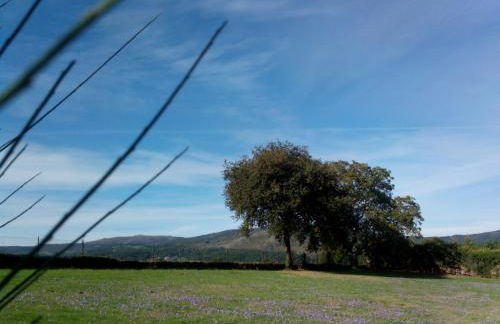 Casa Vixide - Foto 36