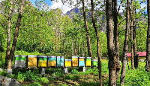 Agriturismo Val Codera - Photo 5