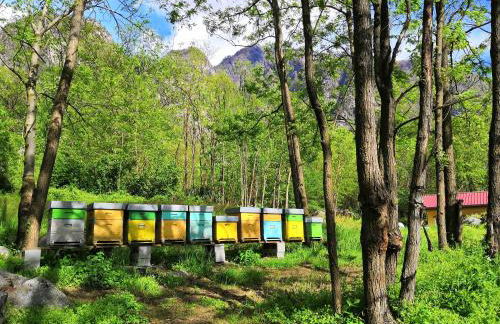 Agriturismo Val Codera - Photo 5