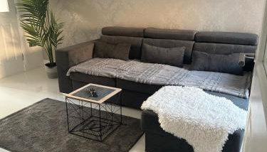 Black Daisy - Foto 1