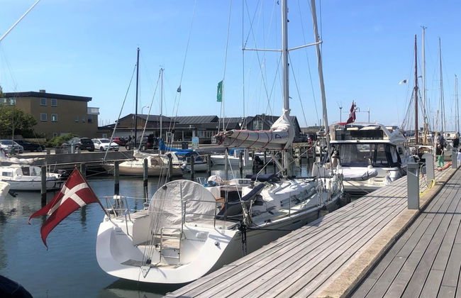 "Reinmoth" - 100m from the sea - Foto 3