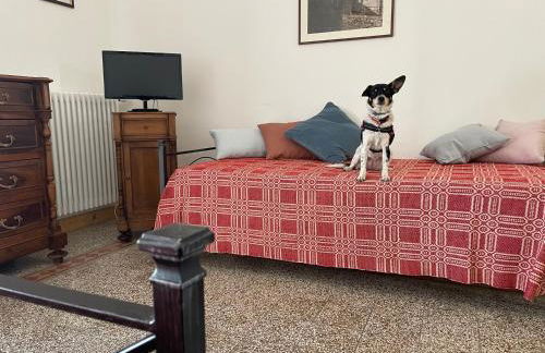 Residence Belvedere - Foto 12