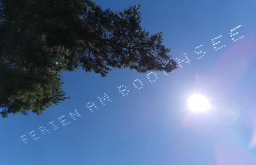 Gästehaus zum Landesteg - Foto 10