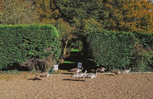 Mind The Gap - Foto 14