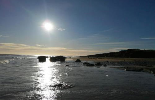 Nelly's Nest - Foto 45