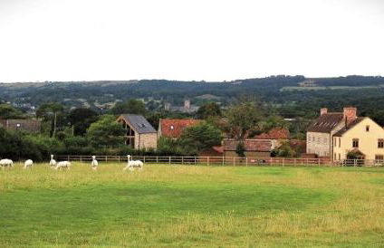 The Byre - Luxury Barn, near Wells, Somerset, pool, gym - Photo 31