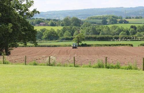 Shepherds Hut - Foto 23