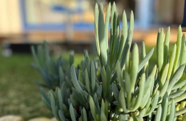 * Le Hameau de la plage * - Foto 31