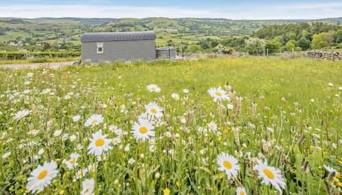 1 Bed in Llangadfan oc-c27292 - Foto 2, Other