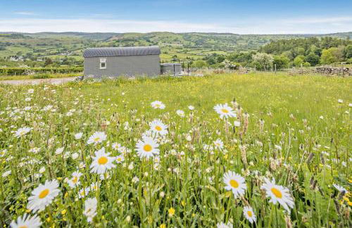 1 Bed in Llangadfan oc-c27292 - Photo 2