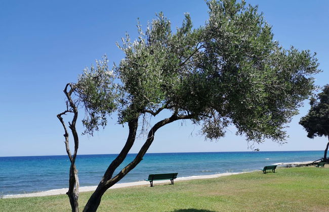 Maison Michel - Photo 5