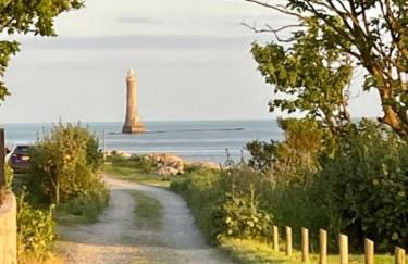 Mountain View Shepherds Hut - Foto 28