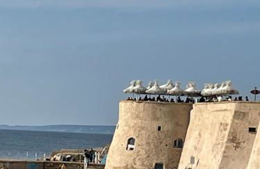 appartamento vista mare da MARY - Foto 54