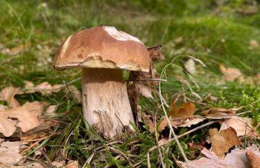 Country house - Foto 48