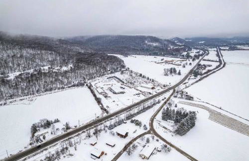 Family-Friendly 3BR Near Ellicottville - Foto 39