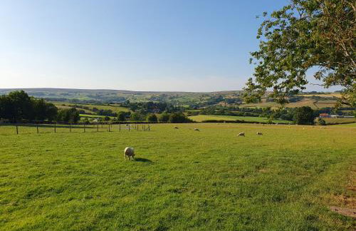 Ingleside Cottage - North Yorkshire Moors - Photo 15