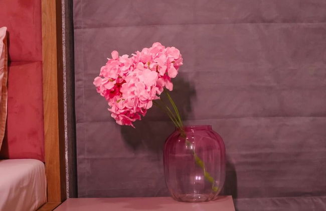 Expert Villla - Foto 10