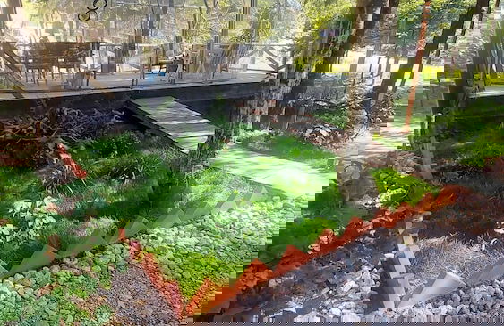 Tumba Sisli Vadi - Foto 65