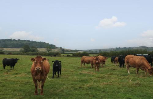 Bellmanear Farm Cottage - Photo 27