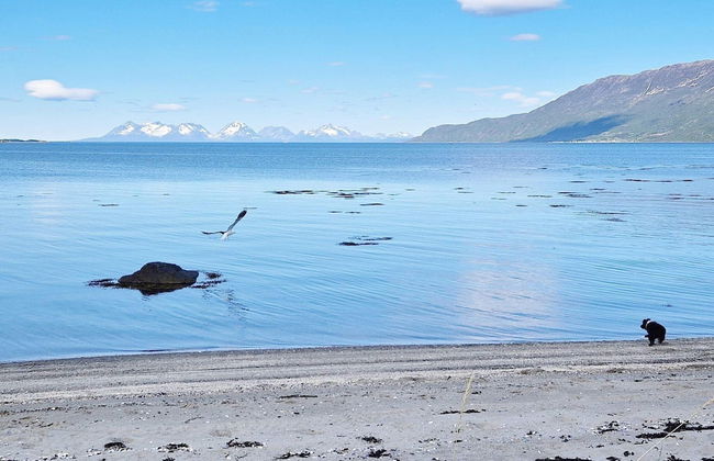 6 Person Holiday Home in Hamnvik - Foto 48