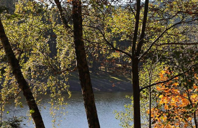 Kickelhahn Comfortable Holiday Residence - Foto 9