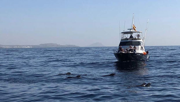 Cruising through the Atlantic Ocean