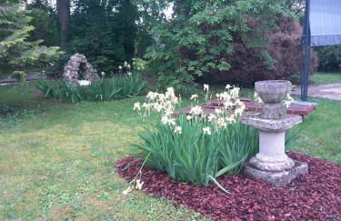 Les Volets Bleus - Foto 22