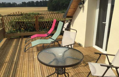 L'appel de la foret - Foto 10