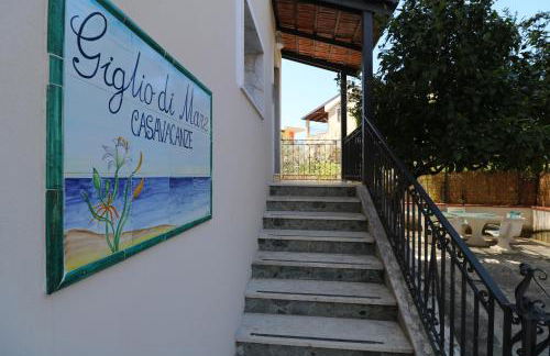 Giglio di Mare - Foto 15