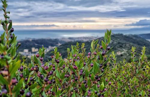 Mansarda Azzurra, 8 min dal mare, 3 min dall'Ospedale Pediatrico - Foto 31