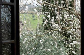 GiuMa Tuscany Historic Country House with Roof Terrace near Saturnia Hot Springs - Foto 8