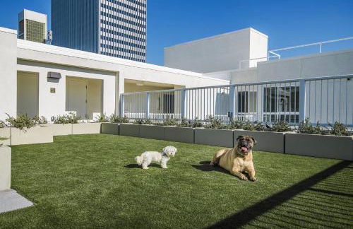 Sky-Rise Apartments - Foto 57