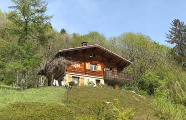 La marmotte qui papote - Photo 50