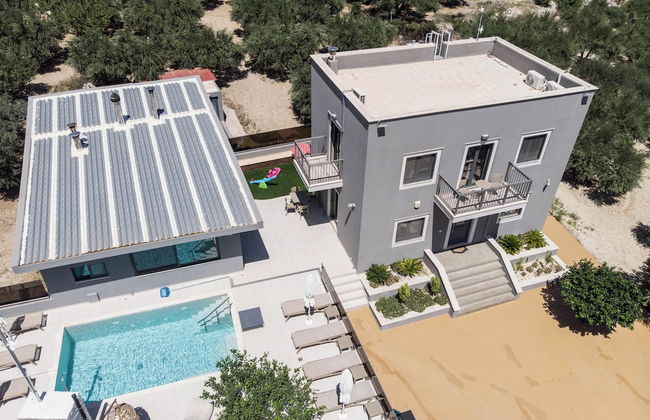 Olive Tree - Foto 33