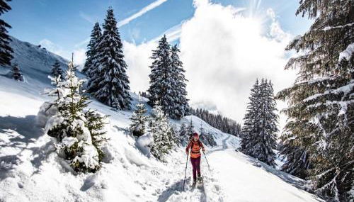 Apartment Perthuis in Chatel - Photo 5, Other