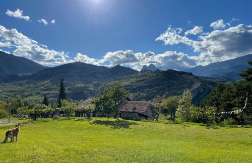 Masia Cap del Roc - Photo 26