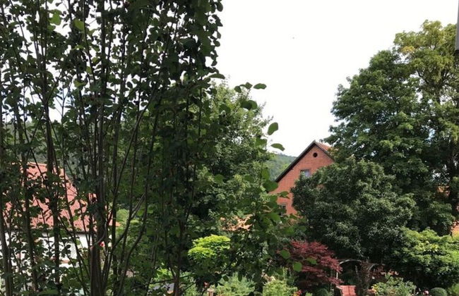 1 Mainblick Brigitte - Foto 8