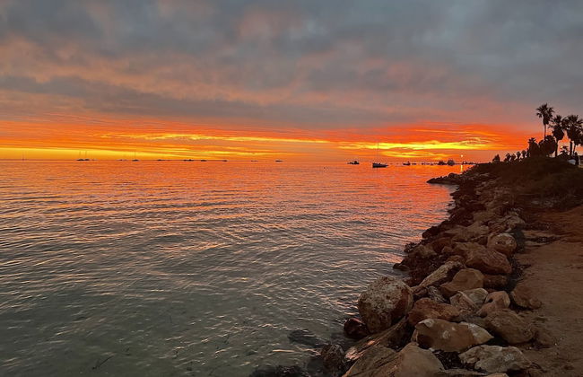 Shark Bay Seafront Apartments - Photo 69