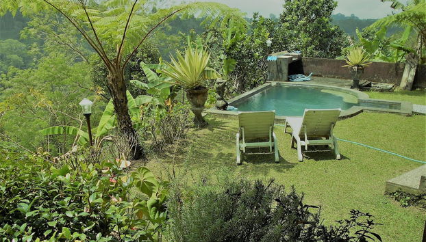 Check-in-/Check-out-Schalter