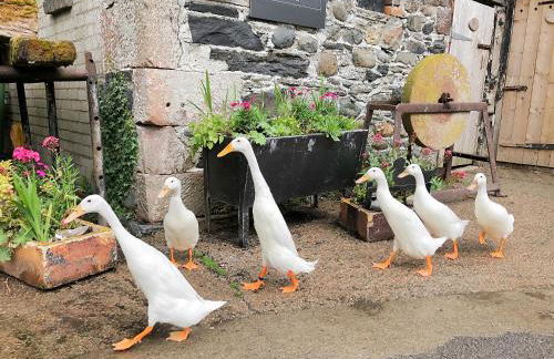 Brook House 2 - Uk31043 - Foto 28