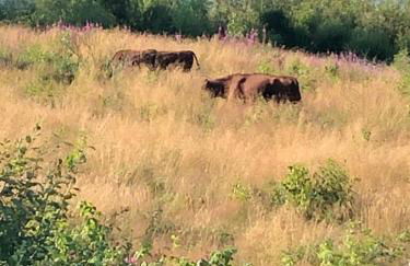 Appartement Max - Foto 20