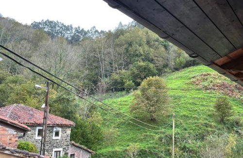 Los Paxarinos - Foto 20