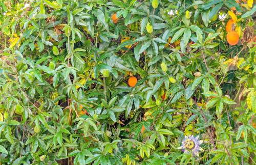 5 Coastguard Cottages - Emsworth - Foto 13